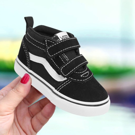 tenis vans bearcat