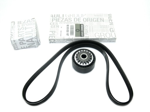 17202495R - НАТЯЖИТЕЛЬ РЕМНЯ ГЕНЕРАТОРА 1.2 8V 16V CLIO II ORIG