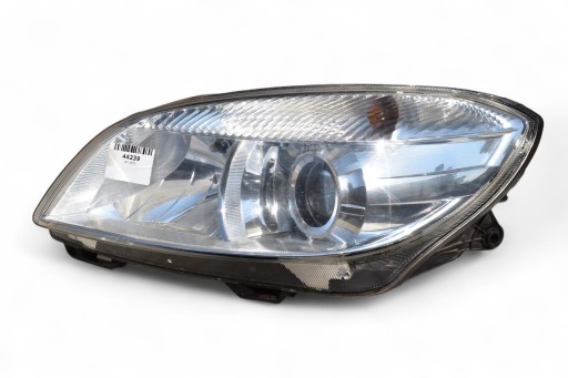 light left front lens SKODA FABIA II 2011R UK
