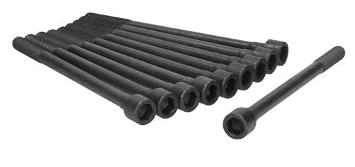 81008800 - Болти головки для NISSAN MICRA 1,2 16v 03-