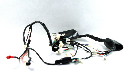 IELMRFR1YIN000 - Електропроводка для мопеда FR 2 E5