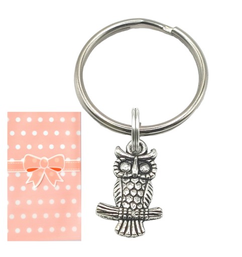 ПОДАРУНОК НА КІНЕЦЬ НАВЧАЛЬНОГО РОКУ БРЕЛОК СОВА