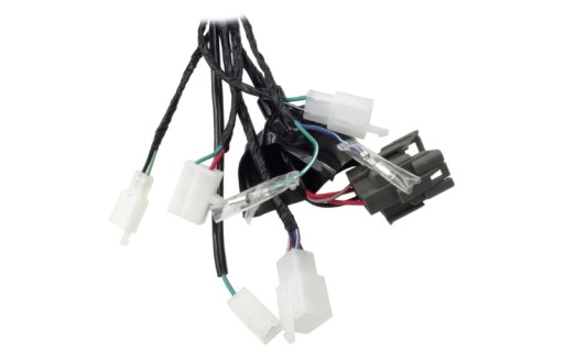 IELFOS042 - Электромонтаж мопеда FR 2