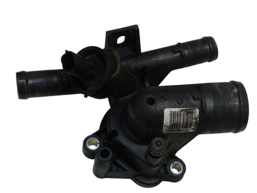 Scatola termostato RENAULT SCENIC III 2.0DCI 8200978542 09-13R.