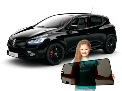 Шторы на магнитах Renault Clio IV 4 хэтчбек