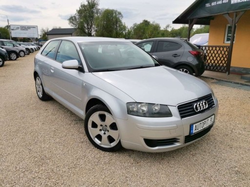 Audi A3 8L Hatchback 1.6 i 102KM 2003