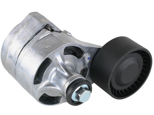 FT44623 - НАТЯГУВАЧ РЕМЕНЯ MICRO-V FORD TRANSIT 06- 2.4 / 3.2