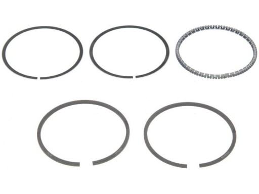 Поршневые кольца MAHLE 205 29 N0