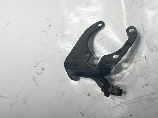 Poignée Support plaque 2.0 DCI RENAULT SCENIC II 364768G