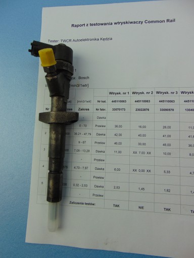 injector 2,0HDI 0445110076 Peugeot Citroen Fiat Sprawdzony!!!