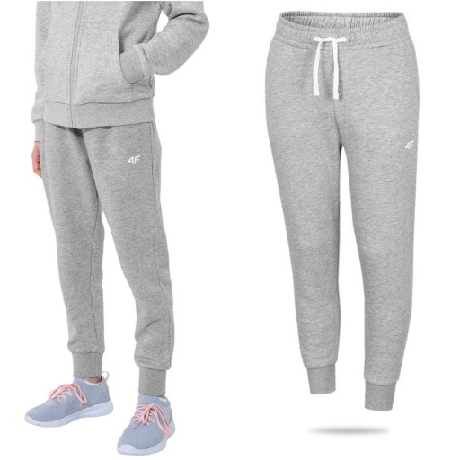 4F 146 Спортивні штани сірі