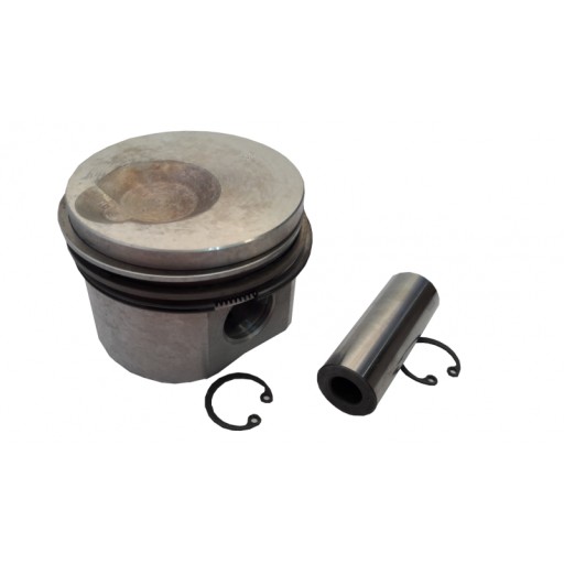 0139 - Поршень Lombardini Focs