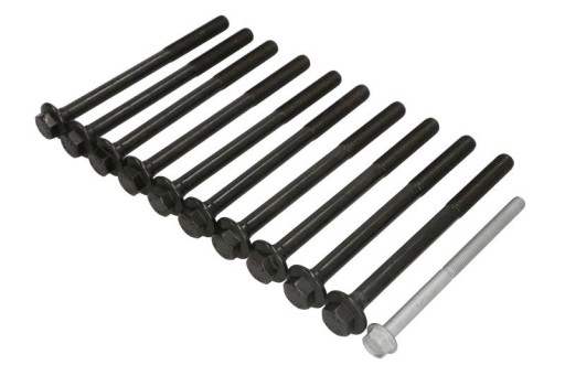 Болти з головкою VICTOR REINZ 14-10030-01