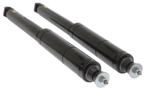 C00341.2 - ЗАДНІ АМОРТИЗАТОРИ RENAULT CLIO 2 ШТ.