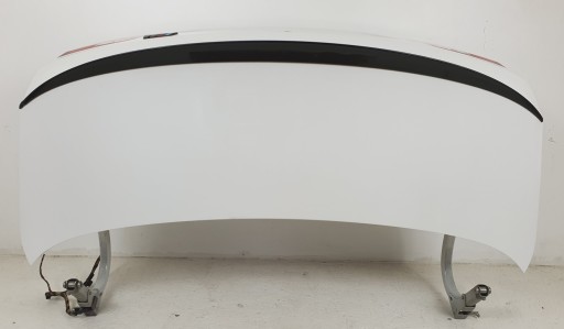 ЗАДНІ ДВІРІ БАГАЖНИКА ALPINWEISS 3 A300 BMW 5 F10 KPL