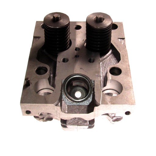 D37M1003008 - Головка в комплекті з клапанами T25 PAPAJ старого типу