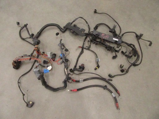 bundle of the engine wiring BMW 5 e60 e61 2.5 3.0 m57n 218km EUROPA EURO 4