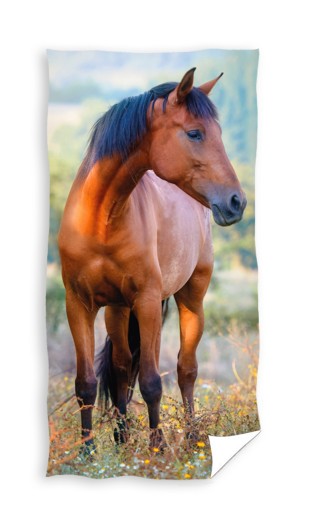 Рушник бавовняний 30х50 Кон