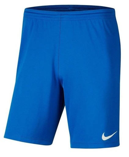 Сині поліестерові шорти Nike вище коліна 147