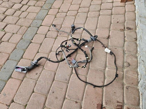 wiring bundle door przednich front Opel Insignia A 22866668
