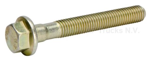 1313119 - ВИНТ ИНЖЕКТОРА DAF XF CF M8X1, 25 KL10, 9