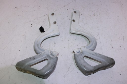 ПЕТЛЯ КАПОТА ПЕТЛИ ПРАВЫЙ ЛЕВЫЙ FIAT DOBLO II COMB