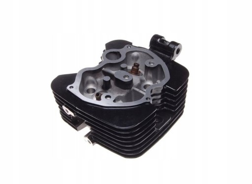 IS2M28931 - ГОЛОВКА ЦИЛІНДРА ATV 250 STXE