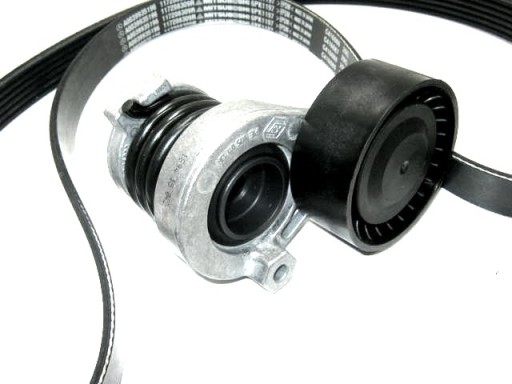 117202495R - НАТЯГУВАЧ РЕМЕНЯ ГЕНЕРАТОРА KANGOO II 1.5 DCI ORIG