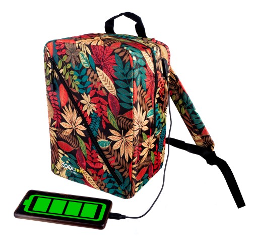 Дорожня сумка RGL 37A