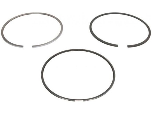 213 10013 - Поршневые кольца (130мм 3-2,5-3) DAF DAF CF, CF 85, XF 105, XF 106;