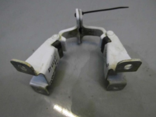 Петля двери левая задняя задняя D389 RENAULT Kangoo II