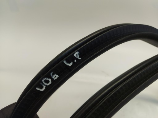 BMW U06 200i Dichtsatz Tür vorne links