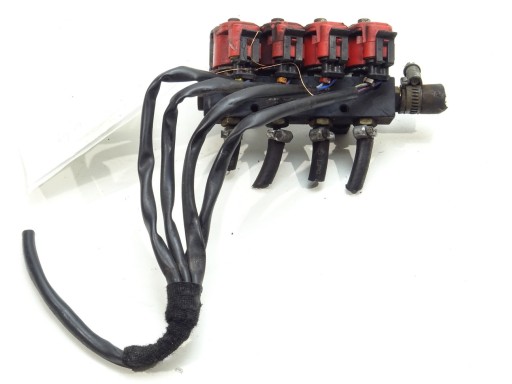 ВПРЫСКИ ДЛЯ СЖИЖЕННОГО ГАЗА RAIL-001 ALEX