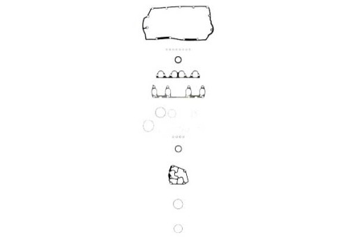 AJU-51021700-ZS1 - КОМПЛЕКТ ПРОКЛАДОК ДВИГАТЕЛЯ AJUSA