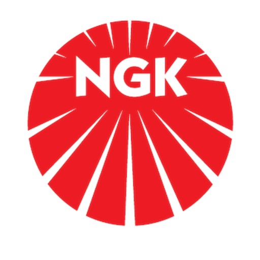 СВІЧКА ЗАПАЛЮВАННЯ NGK V-LINE 30 NGK 6343