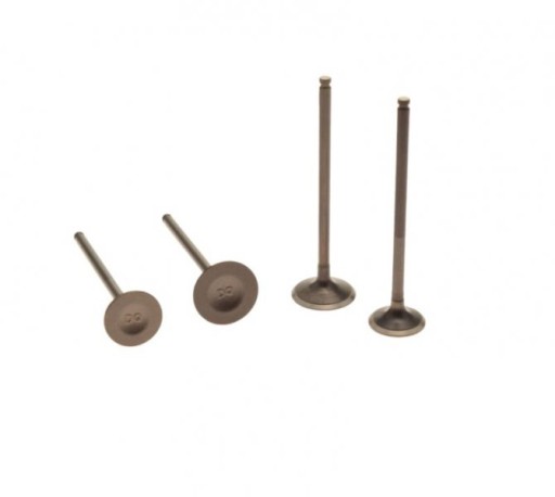 460044 - Выпускной всасывающий клапан Zongshen dt190 kpl