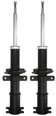 S010542G x2 - Vivaro a btrafic ii газові амортизатори передні повні