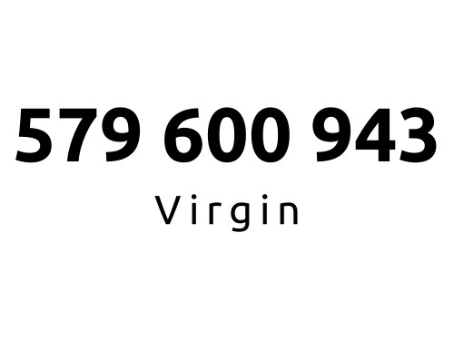 579-600-943 | Starter Virgin (60 09 43) #C