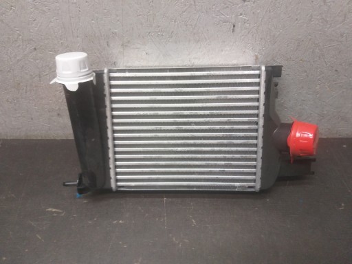 intercooler RENAULT CLIO IV 4 CAPTUR 144965154R