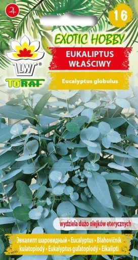Eukalyptus pravý 10z TORAF