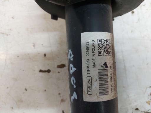 Ford Ranger VI 6 2024r. 3.0 TDCI shock absorber mcperson right front