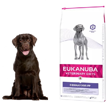 EUKANUBA Veterinary Diets Dermatosis FP RYBY 12KG karma na problemy skorne 13339732592 Allegro.pl