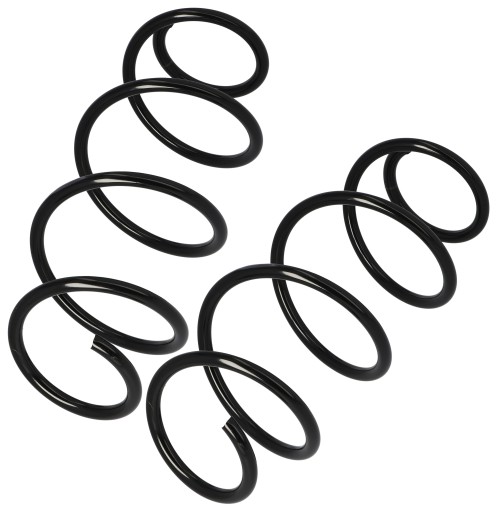 GT33023x2, GT33023x2 - Пружины подвески x2 renault clio iii modus 1.2 2005 - передние