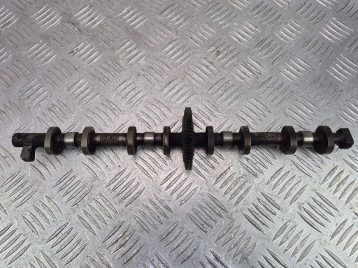 cam MIMOSRODOWY BMW X1 E84 28i 77589883 N20B20A