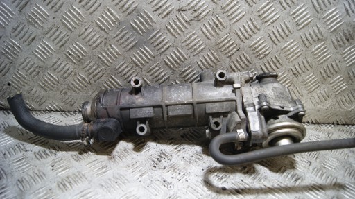 Kühler EGR FIAT DUCATO 3 3.0D 504136967