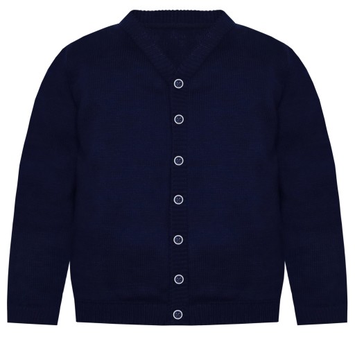 Синій светр MaxManiaKIDS 134