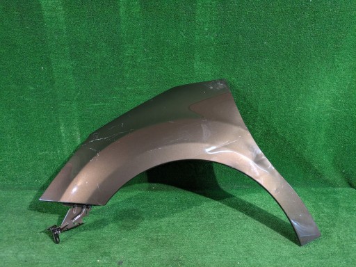 fender front left front CITROEN C3 II 09