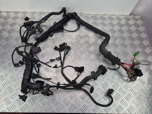 cablaggio Motore BMW X5 E70 30d 7809171 N57D30A