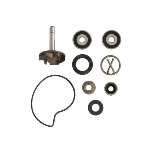 10 011 - КОМПЛЕКТ ДЛЯ РЕМОНТА ВОДЯНОГО НАСОСА DERBI ATLANTIS