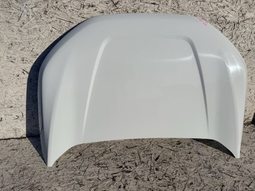 VWX6764 - Edge mk2 lift передній капот білий yz